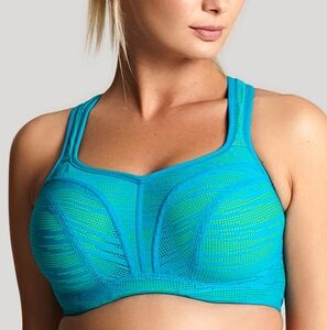 Panache Blue Sports Bra